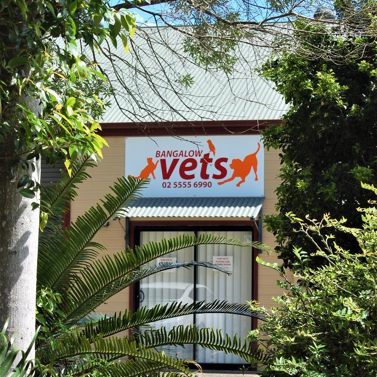 361255797_731274622341022_153858110462898803_n